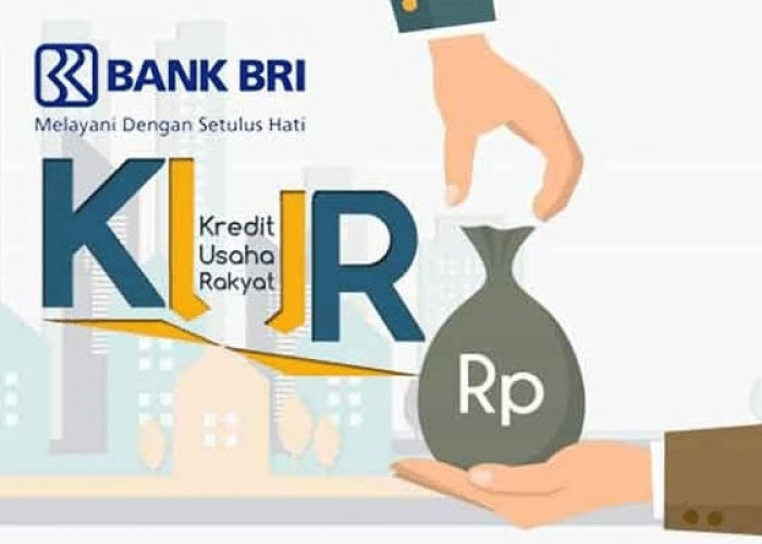 Adanya KUR BRI Debitur Semakin Dipermudah Kembangkan Usaha, Bunga Kecil Pencairan Cepat 