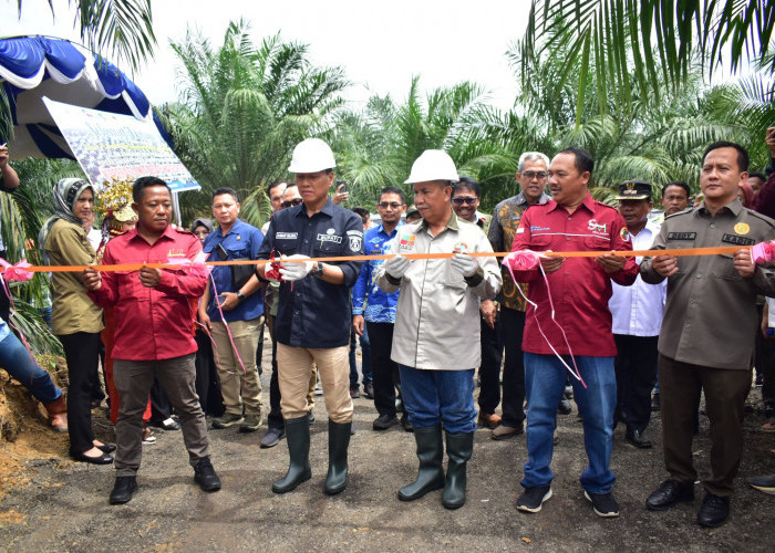 Replanting Sawit Berhasil, Senyum Petani OKI Mengembang