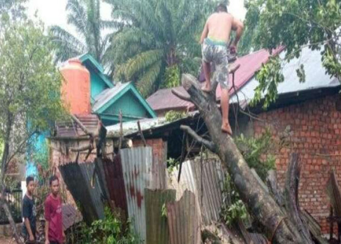 Badai Angin Puting Beliung Hancurkan 30 Rumah di Bengkulu Tengah 