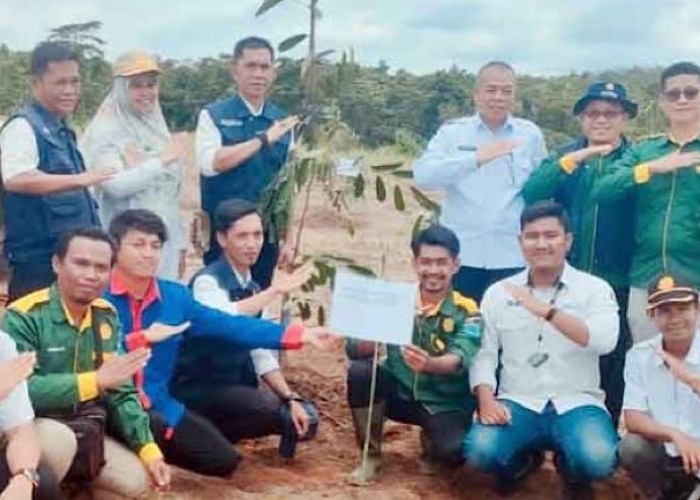 Desa Tambang Rambang Kecamatan Muara Kuang Ogan Ilir Bakal Jadi Kawasan Agrowisata Durian yang Lengkap  