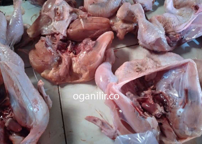 Mengonsumsi Ayam Bisa Menyebabkan Kanker? ini Penjelasannya Secara Ilmiah