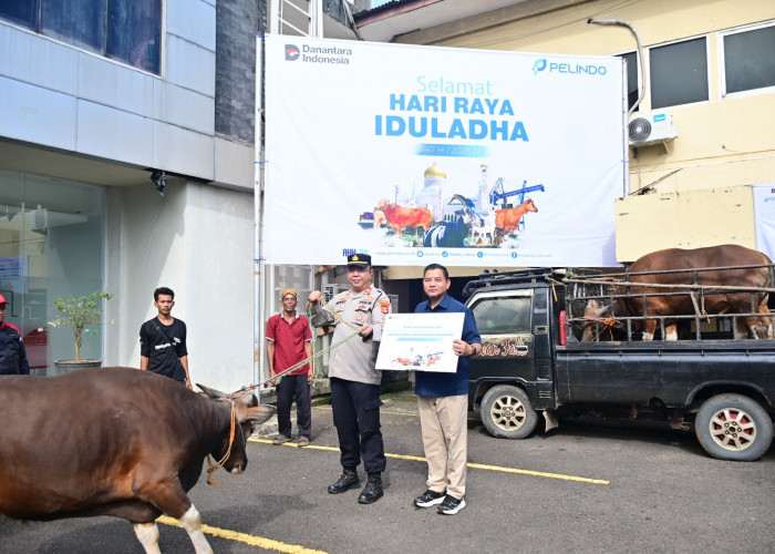 Pelindo Group Regional 2 Palembang Salurkan 19 Hewan Kurban, Perkuat Kepedulian dan Kebersamaan dengan Masyara