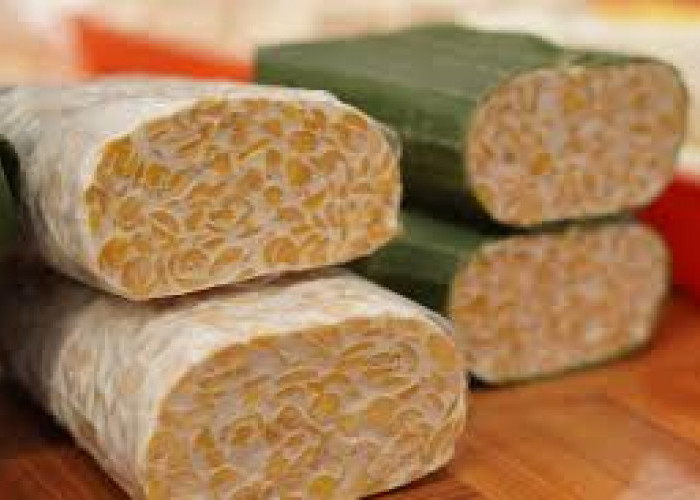Rahasia Menyimpan Tempe Agar Tahan Lama