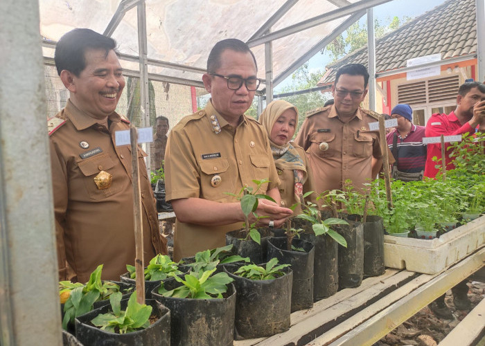 Pj Banyuasin Terapkan Gerakan Tanam Sayur ke Sekolah Sekolah