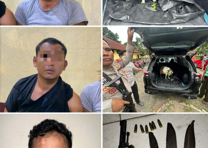 Bersenpi,  Tiga Pencuri Kambing Bunting, Di Tangkap Polsek Tanjung Raja 