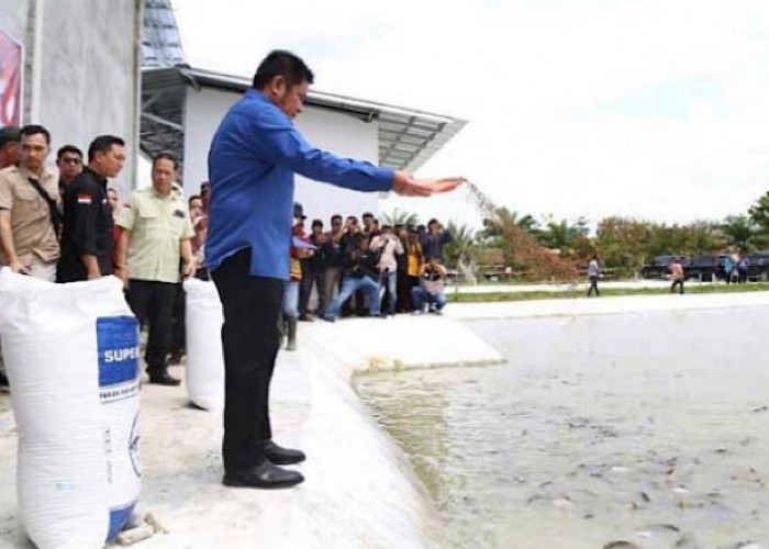 Gubernur Sumsel H Herman Deru Bantu Benih Ikan Air Tawar untuk 72 Kelompok Pembudidaya Ikan di OKU Timur 