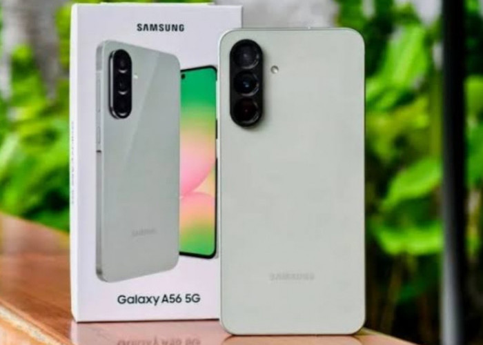  Samsung Galaxy A56 5G: Dibekali Layar AMOLED dengan Refresh Rate 120Hz