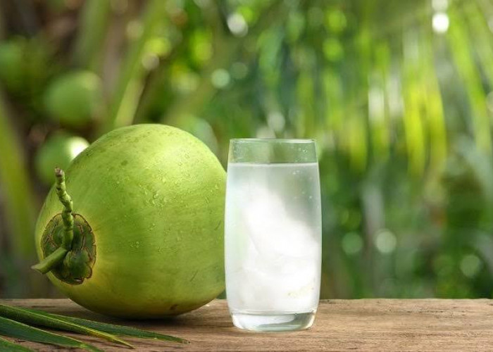 9 Manfaat Rutin Minum Air Kelapa, Antioksidan Alami dan Meredakan Pemicu Masalah Kulit