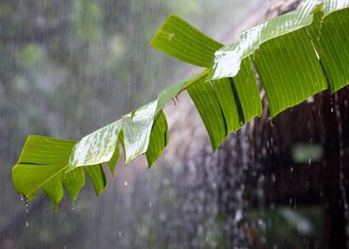 8 Wilayah Sumsel Diperkirakan Bakal Hujan Hari ini 