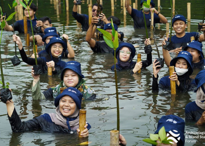 Peringati Hari Mangrove Internasional, AIS Forum Lakukan Penanaman dan Pelatihan di 2 Negara