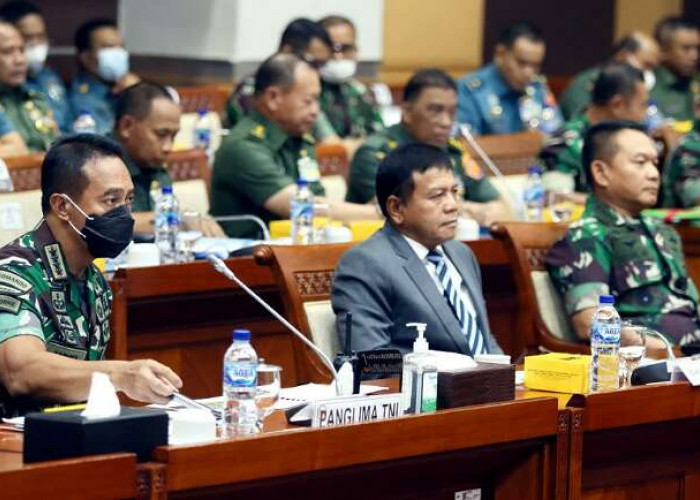 Panglima TNI dan KSAD Dirumorkan Tak Harmonis, Jenderal Andika Perkasa Beri Penjelasan Begini 