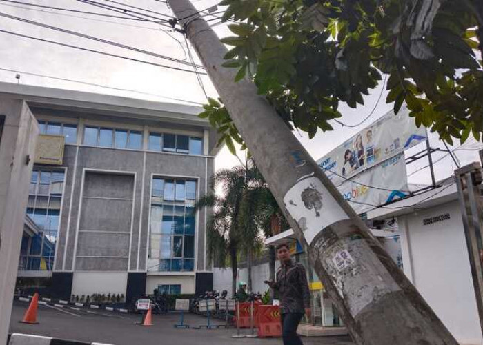 Tiang Listrik di Palembang Jadi Korban Tabrak Lari