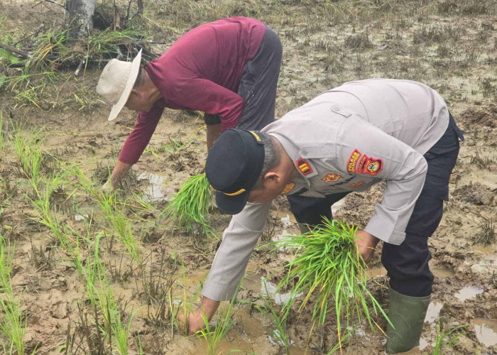 Pekarangan Polsek Lalan Hijau Menguning, Dukung Program Presiden RI