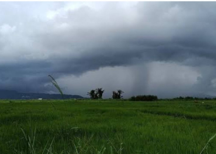 Prakiraan Cuaca Sumsel Hari ini Kamis 9 Januari 2025