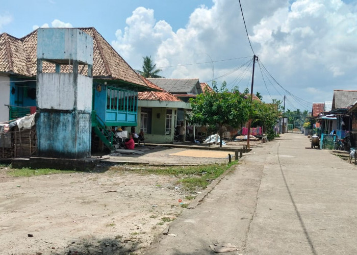 Pungut Biaya PTSL, Kades Tanjung Ali Bakal Dilaporkan