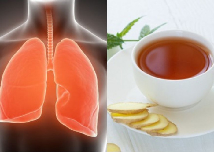 6 Obat Alami ini Ampuh Bersihkan Paru-paru