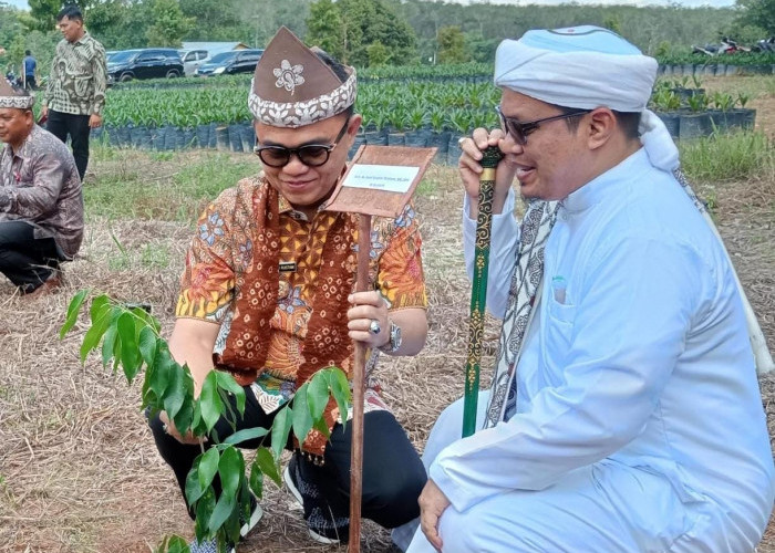 Pohon Gaharu Bakal Jadi Icon Baru Sumatera Selatan 