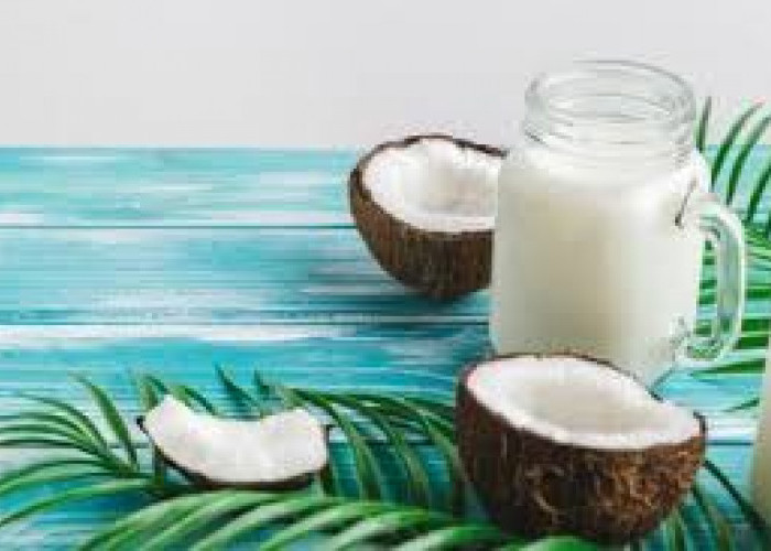 Simak! Begini Tips Menyimpan Santan Kelapa Kemasan Agar Awet dan Tidak Mudah Basi! 