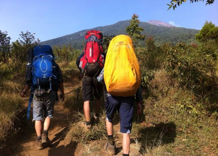 Ingin Naik Gunung Tapi Anda Masih Pemula, ini 12 Tips Agar Aman Mendaki 