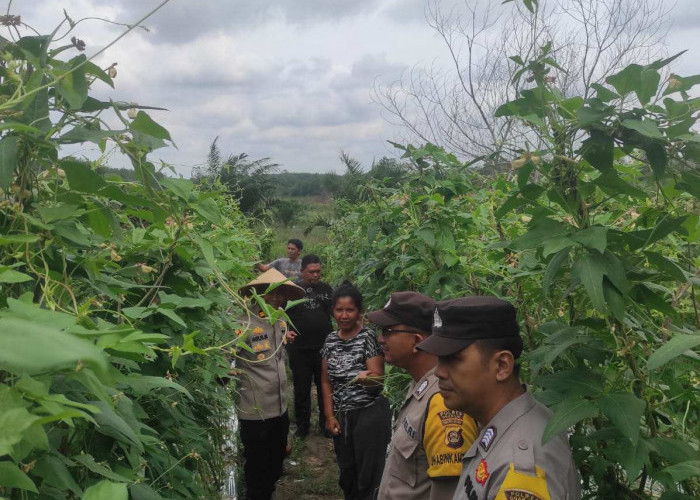 Polsek Rantau Alai Pantau Perkembangan PKP, Budidaya Ikan dan Tanaman Sayuran 