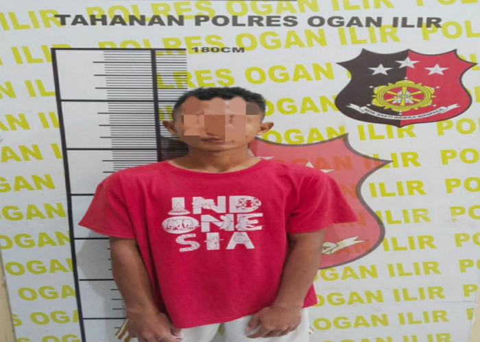 Pelajar Dicabuli Bujangan di Teluk Seruo Ogan Illr, Berawal Dari Perkenalan Aplikasi OMI