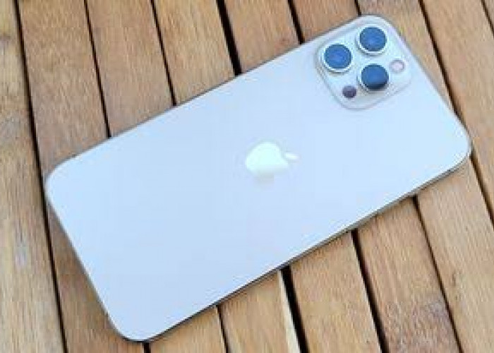 Harga iPhone 12 Pro Max Terbaru Juni 2024, Sudah Semakin Terjangkau