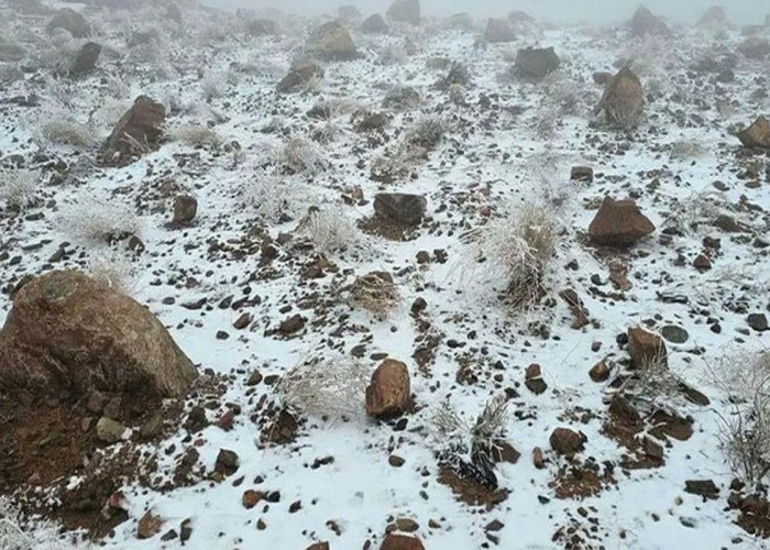 Salju Turun di Arab Saudi, Warga Berbondong-bondong Abadikan Momen Langka