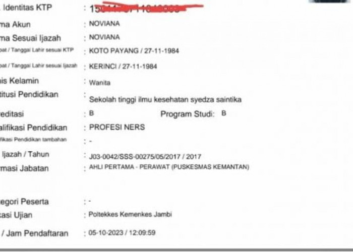 Bikin Honorer Panik, Status K2 Hilang Usai Resume Pendaftaran PPPK 