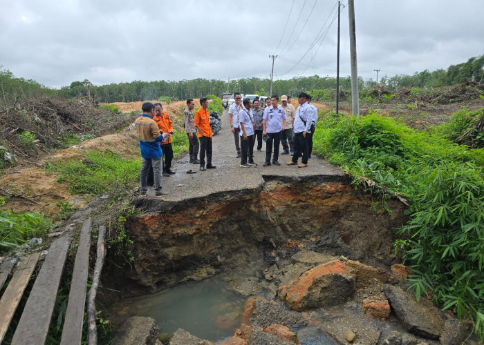 Jalan Longsor, Dinas PUPR Muba Bangun Jembatan Darurat