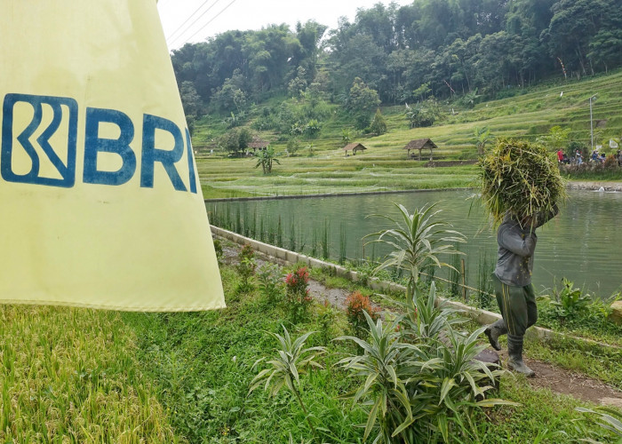 5 Komitmen Nyata BRI Dukung Kemajuan UMKM di Indonesia