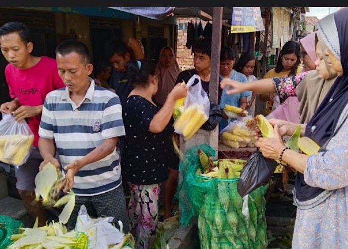 Jelang Tahun Baru di Ogan Ilir, Emak-emak Ramai Borong Jagung, Pedagang Ini Sampai Kewalahan Bawa 6 Karung 