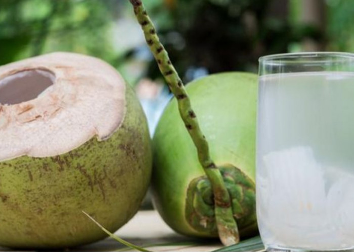 4 Bahaya Minum Air Kelapa Saat Sedang Haid, Wanita Harus Tahu!