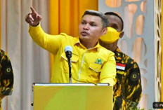 Tiba di Bandara, Ketua Golkar Maluku Tenggara Tewas Ditikam OTK