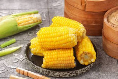 Inilah 8 Manfaat Jagung Rebus untuk Kesehatan Tubuh