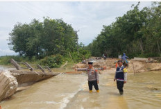 Tak Lagi Digunakan Jembatan Naning Tanjung Sari 1 Roboh Diterjang Banjir 