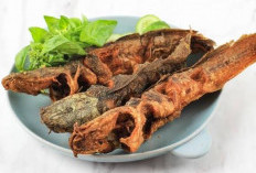 Inilah 7 Manfaat Ikan Lele untuk Kesehatan Tubuh