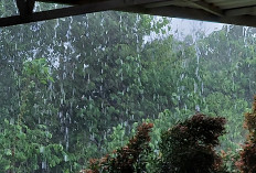 Prakiraan Cuaca Sumsel Hari ini Minggu 7 Desember 2025