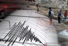 BMKG Mencatat Terjadi 29 Gempa Susulan usai Gempa 7,6 Magnitudo