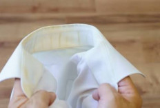 Simak! Ini Cara Mudah Mengatasi Pakaian Putih dan Menghilangkan Noda Kuning 