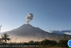 Gunung Lewotobi Laki-laki Kembali Meletus