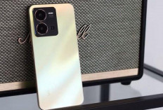 Vivo Y35 : HP Mid Range yang Dibekali Kamera Utama 50 MP dengan Spesifikasi Terbaik