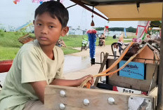 Demi Bantu Ortu, Habibi Rela Jadi Kernet Delman