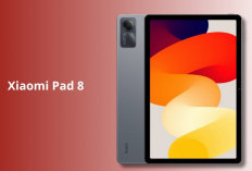Xiaomi Pad 8 Pro : Disupport Layar IPS LCD dengan Kamera Utama 50 MP