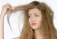 Inilah 9 Tips Mengatasi Rambut Kering dan Mengembang, Lebih Halus!