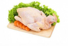 Kenapa Daging Ayam Kampung Lebih Sehat? Simak Disini Faktanya