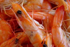 Simak! Inilah Bagian Udang yang Boleh dan Tidak Boleh Dikonsumsi