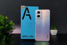 OPPO A96 : HP Mid Range Tampil Stylish yang Dilengkapi Performa Handal