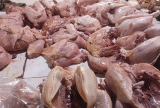 Jelang Bulan Ramadan, Harga Telur-Ayam di Palembang Naik