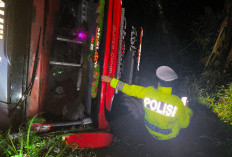 Bus PO Anugerah Masuk Jurang di Lahat, Laporan Darurat 110 Selamatkan Penumpang