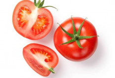 Simak! Inilah yang Terjadi pada Tubuh saat Konsumsi Tomat Setiap Hari